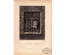1873 год. Любопытство, старинная гравюра
