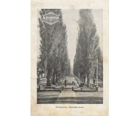 1900-е гг. Фототипия Кисловодск, Тополевая аллея