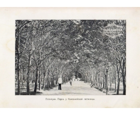 1900-е гг. Ессентуки, Парк у Компанейской гостиницы