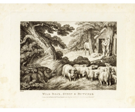 1811 год. Кабан, овцы и мясник, антикварная гравюра