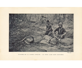 1899 год. Охота на льва, старинная фототипия
