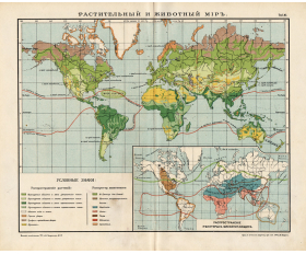 1917 год. Растительный и животный мир Земли