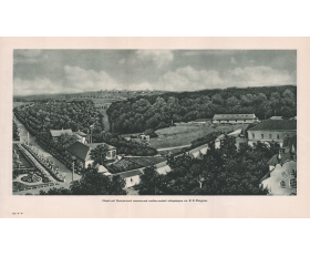 1949 год. Плодово-ягодная лаборатория Мичурина