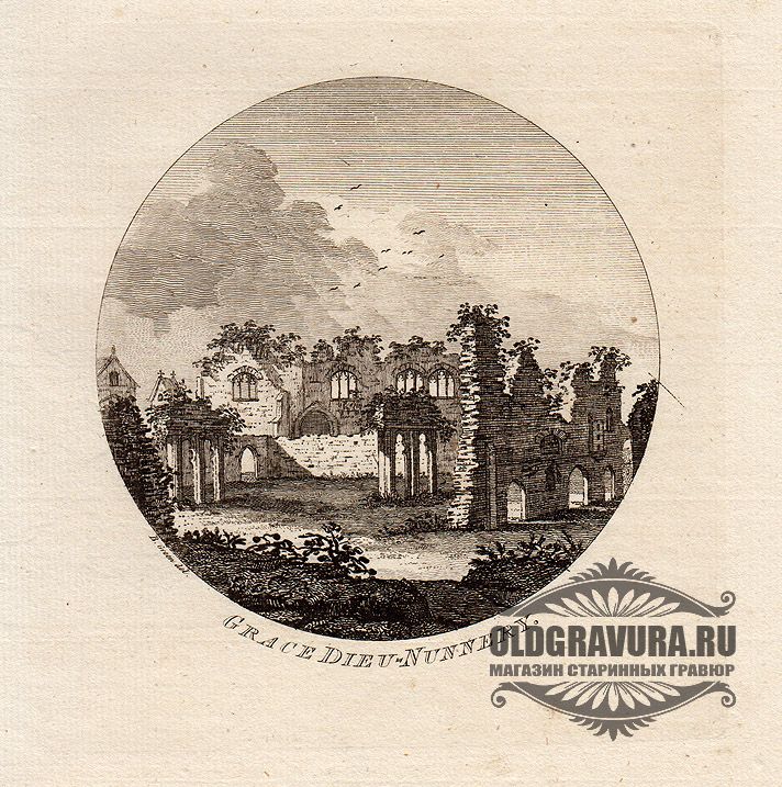 Старинные гравюры. Овал гравюра. Гравюра 1764. Овальные Гравюры. Гравюра 1764 год